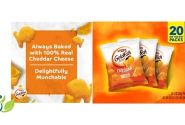 Cheddar Cheese Crackers